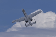 S9A1080-1