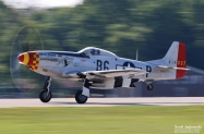 IMG_8381 (1000x667)