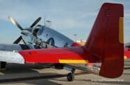 DSC_0051 (2)