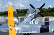 p51d 1 (2)
