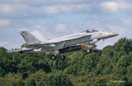 Enhc-FA-18E-VFA-81-166947-300-sR-9724