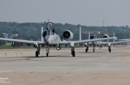 IMG_8418 (1000x558)