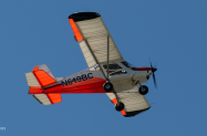 RAINBOW-SKYREACH-BUSHCAT