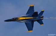 IMG_3076 (1000x667)