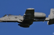 IMG_8826 (1000x518)