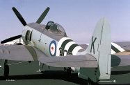 Sea-Fury