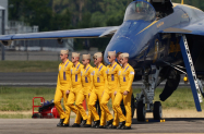 BA_6_Yellows