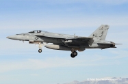 67 FA-18E_166784_VFA-31_AJ110_NAS  Fallon