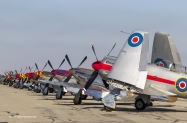 3May8Z0A6274