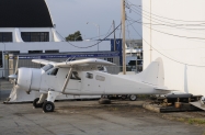 DSC3829