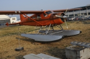DSC3842