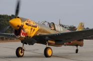 p40 d