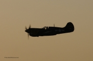 p40 night