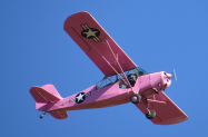 AeroncaL16A