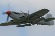 Firefly1
