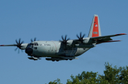 Herc-Ski-Bird-Arrival