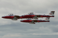 Snowbirds-1