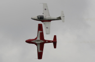 Snowbirds-2