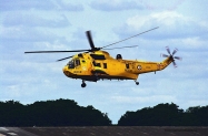 sea king