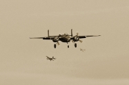 arrivals-copy