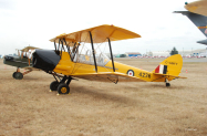 DH-82