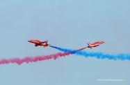DSC_0203 (2)