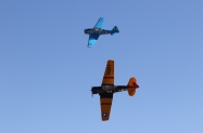 BEAU GOFF CH4A6209