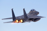 F-15E 335th FS (5)