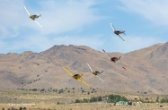 Reno 2018 (498)