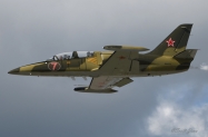 Larry_Labriola_L-39_4075