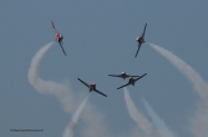 snowbirds 4