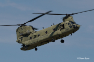 Chinook