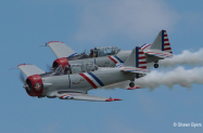 T6s