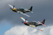 HFMustangs1a