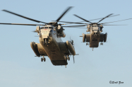 Sikorsky_CH-53D_CH-53E_1438