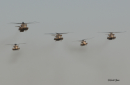 Sikorsky_CH-53D_CH-53E_2103