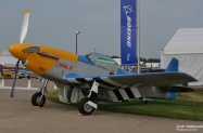 IMG_8495 (1000x647)