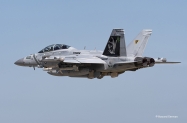 Enhc-EA-18G-VAQ-209-166895-3-lrg-8851