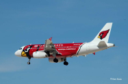 AWE-A319-PHX-CARDS