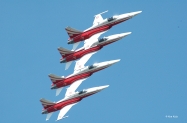 patswiss4form