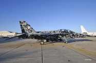 US Navy/Marines F/A-18B hornet