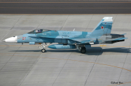 VFC-12_F-18_Fallon_0205