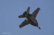 _DSC0659 (2)