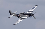 P51-QS-4