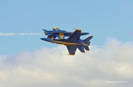 IMG_5746s