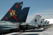 VF-11_El_Centro_2006_0061