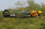 Owls_Head_TFL_P-40_Warhawk_2258