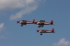 1ds_2890