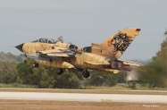 1Cover_Tornado_Tiger