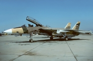 F-14A_159607_IRIAF_camo_1993_1024_Fi